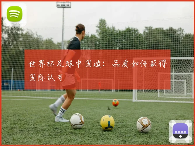 世界杯足球中国造：品质如何获得国际认可